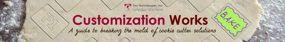 two technologies customization works